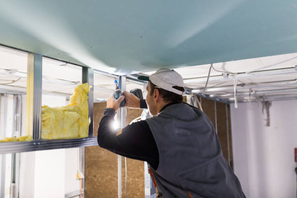 Best Best Insulation Companies  in Rustburg, VA