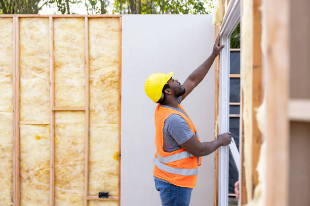 Best Insulation Removal  in Rustburg, VA