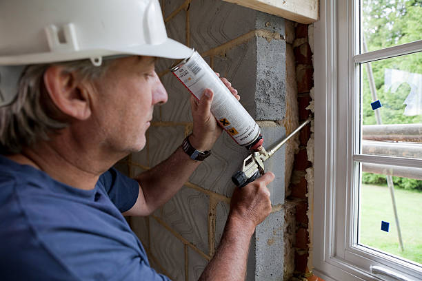 Best Cellulose Insulation  in Rustburg, VA